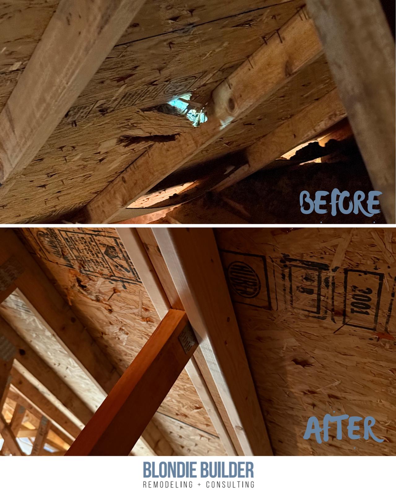 roof Work done by blondie builder