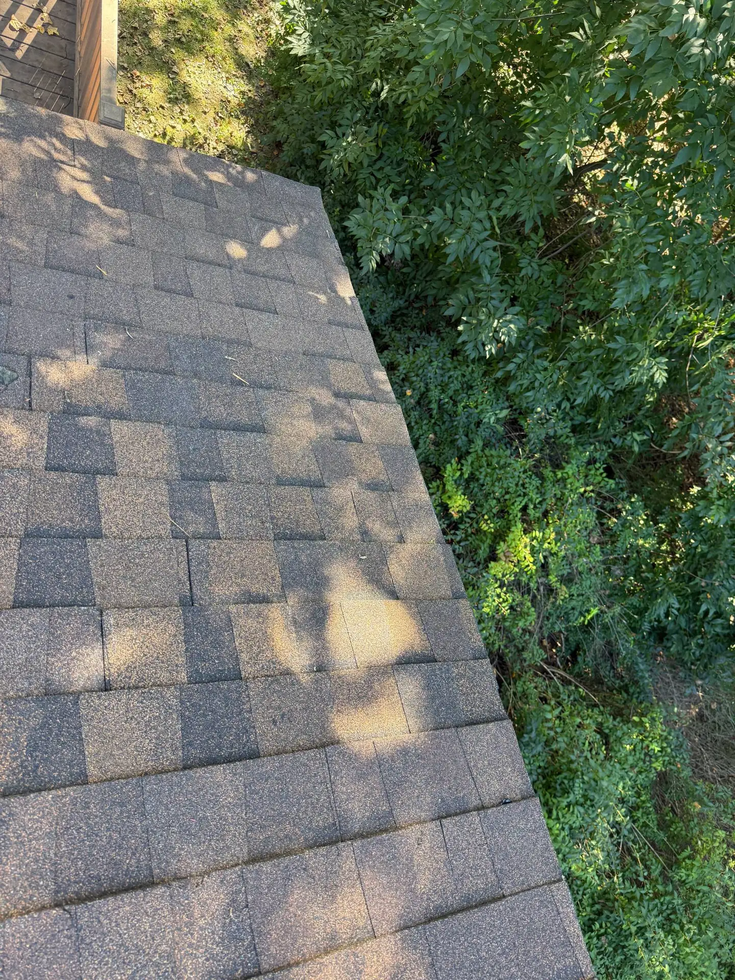 Angela Roof After